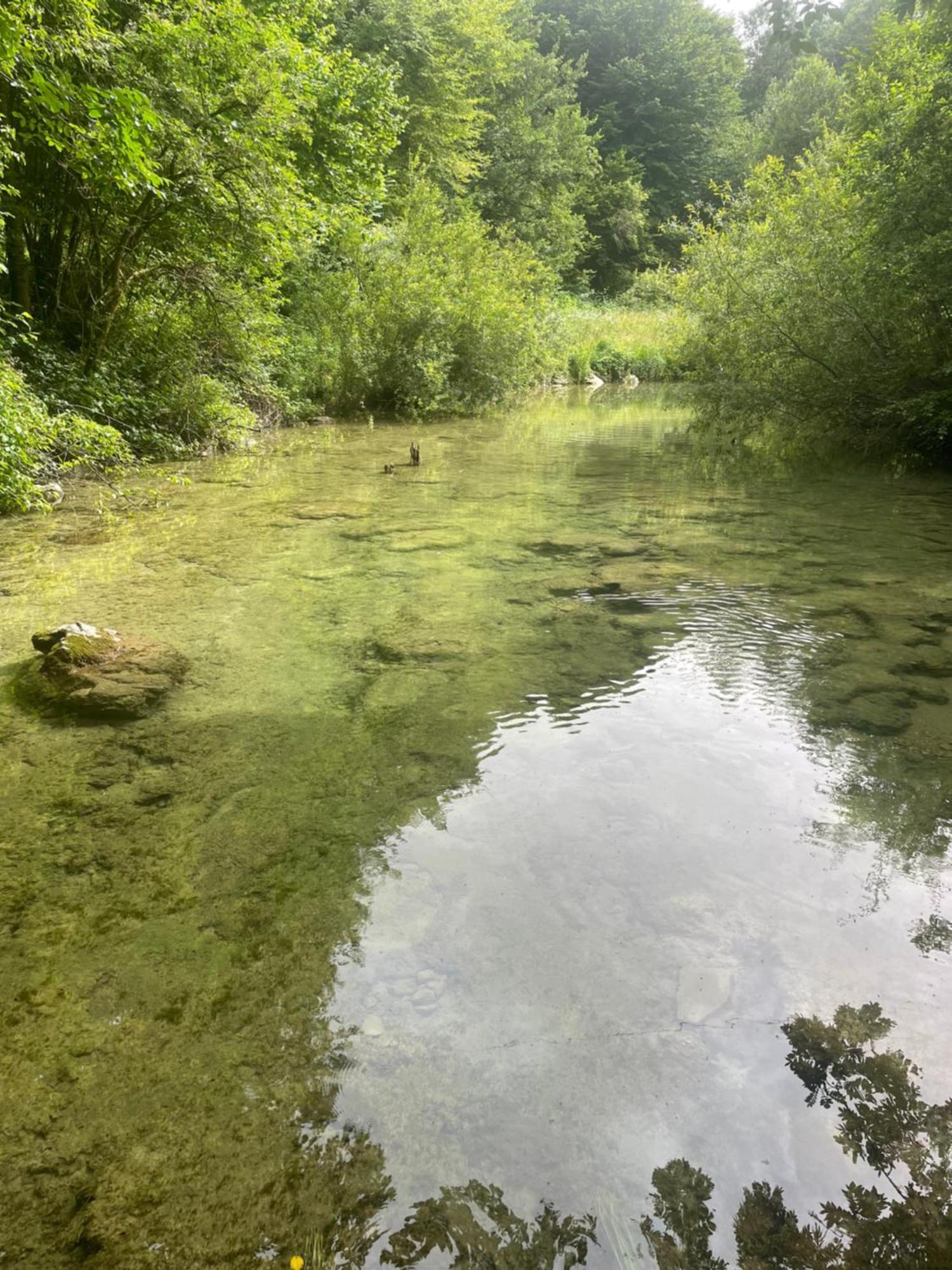 גרבובץ Villa Ruscello מראה חיצוני תמונה
